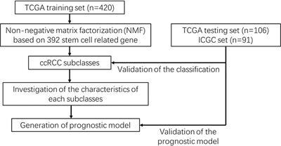 Identification of a Novel Stem Cell Subtype for Clear Cell Renal Cell Carcinoma Based on Stem Cell Gene Profiling